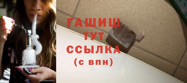 сатива Беломорск