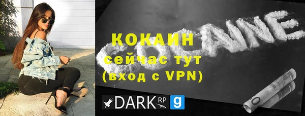 сатива Беломорск