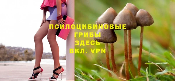 прущие крисы Белоозёрский