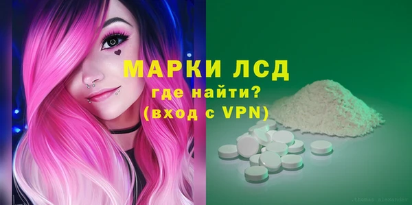 сатива Беломорск