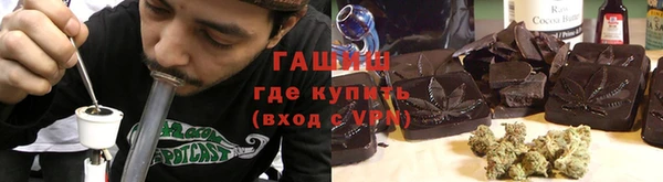 сатива Беломорск