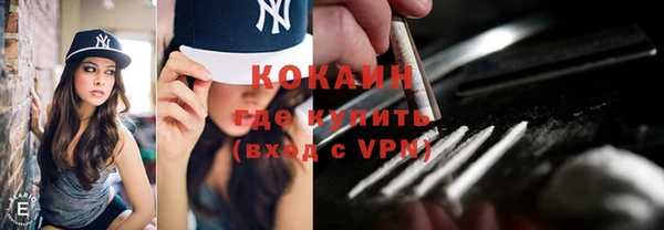 сатива Беломорск
