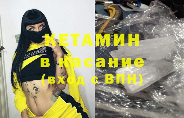 сатива Беломорск