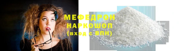 сатива Беломорск