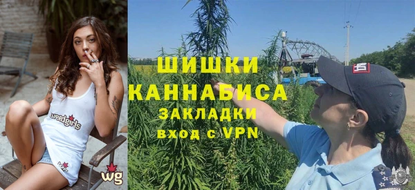 сатива Беломорск