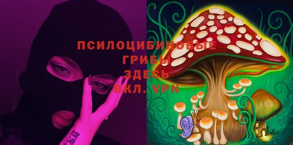 прущие крисы Белоозёрский