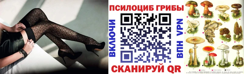 Галлюциногенные грибы Psilocybe  блэк спрут   Тында  хочу наркоту 