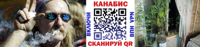 Бошки Шишки семена  OMG ссылки  Тында 